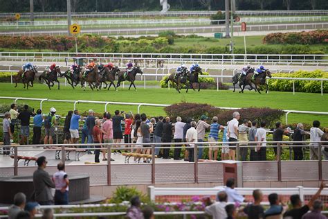 stc race results|On its last legs: Horse racing in S’pore to end in 2024.